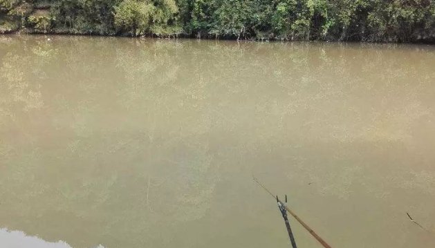 浑水钓鱼怎么钓