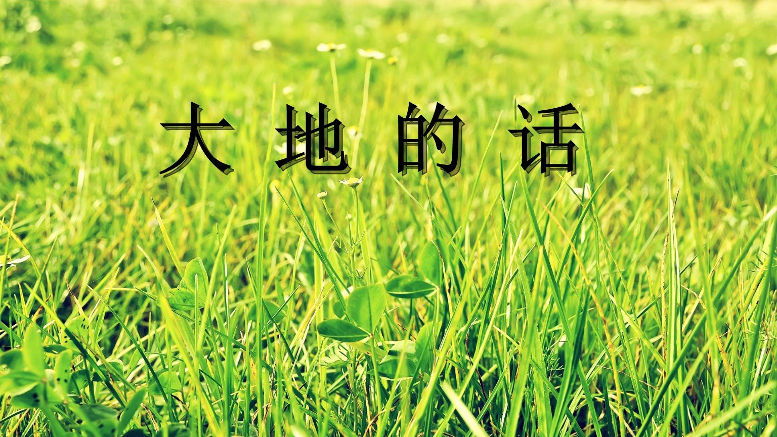 《大地的话》是一首什么诗