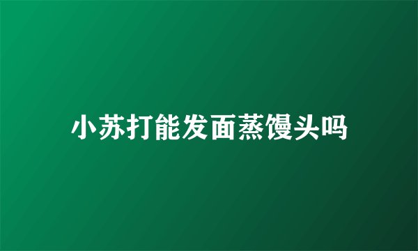 小苏打能发面蒸馒头吗