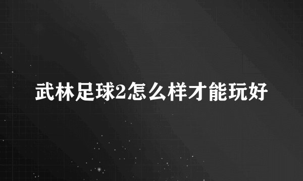 武林足球2怎么样才能玩好