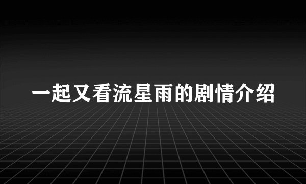 一起又看流星雨的剧情介绍