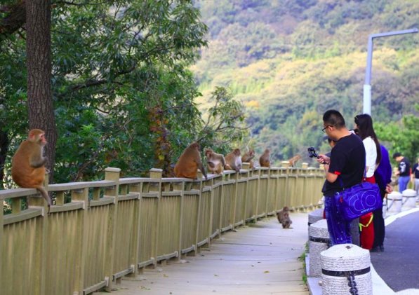 错峰出游有什么好处？