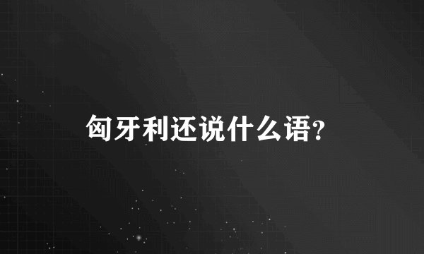 匈牙利还说什么语？