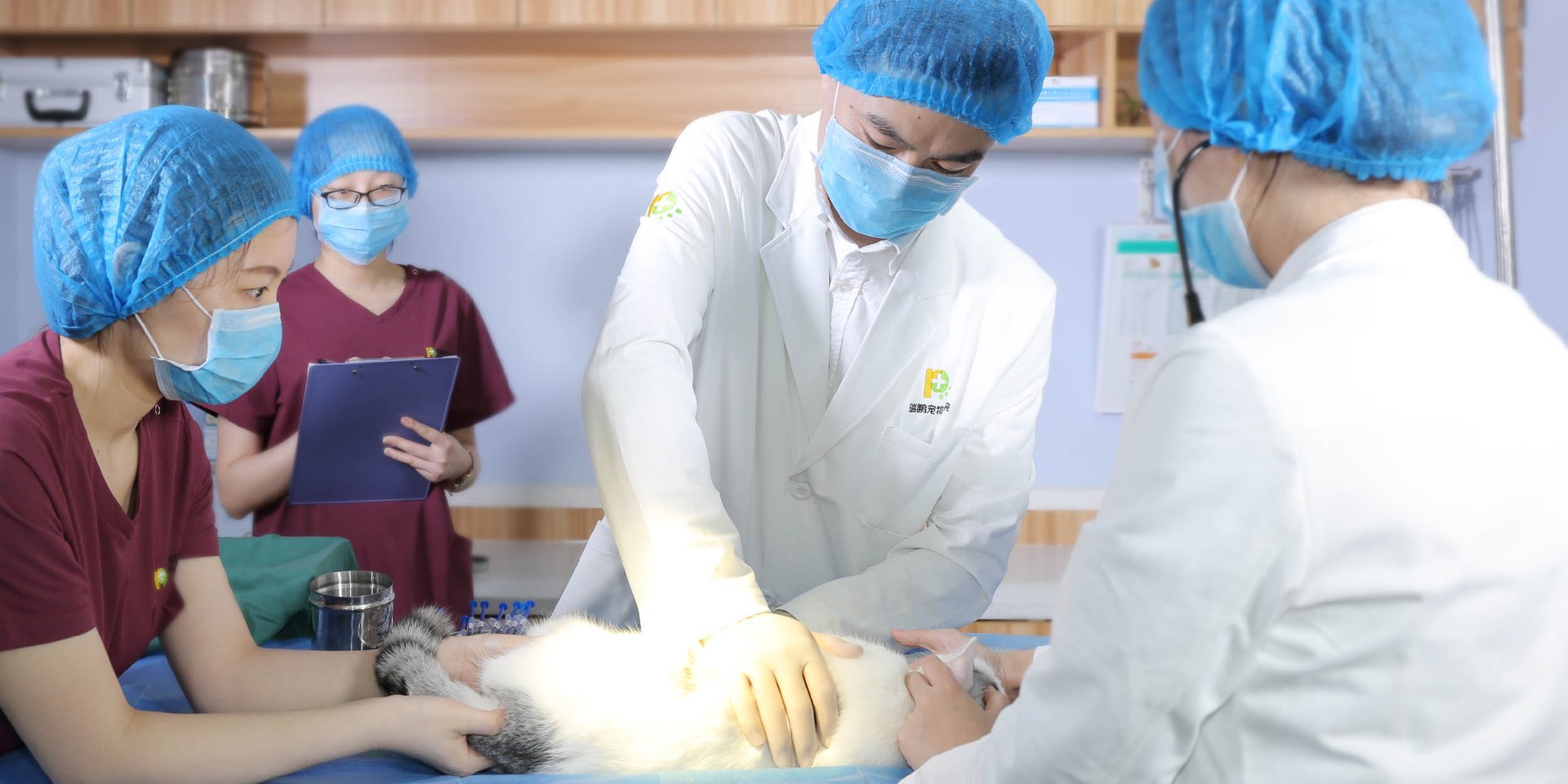 石家庄的宠物医院哪一家比较好？