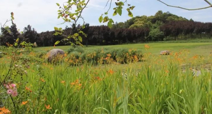 商丘师范学院好不好