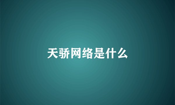 天骄网络是什么