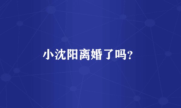 小沈阳离婚了吗？