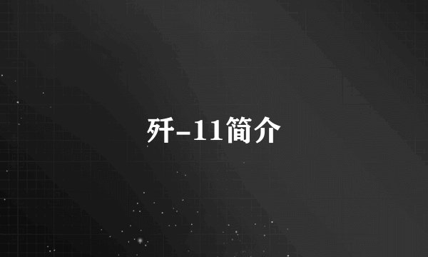 歼-11简介