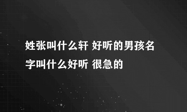姓张叫什么轩 好听的男孩名字叫什么好听 很急的