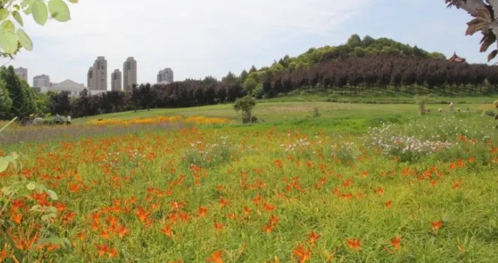 商丘师范学院好不好