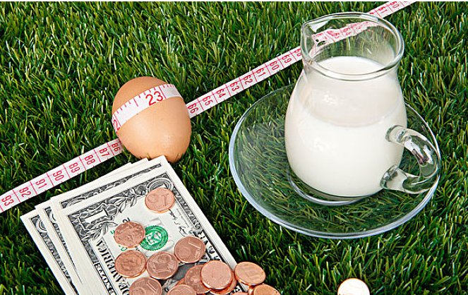 怎么健康有效的减肥?