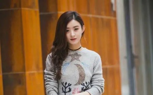 赵丽颖后援会等发表声明将暂停一切工作,对其艺人本身造成了什么影响?