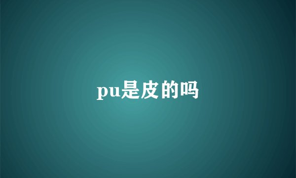 pu是皮的吗