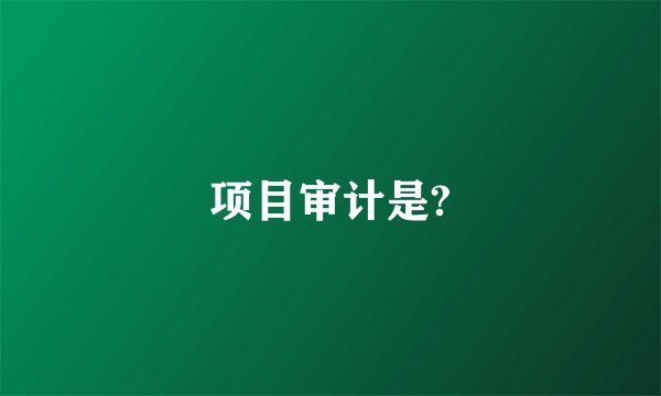 项目审计是?
