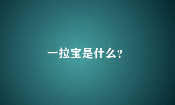 一拉宝是什么？