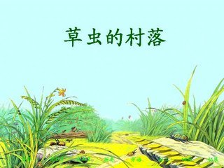 六年级上册《草虫的村落》的主要内容