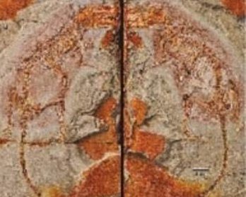 科学家发现混元兽是什么？