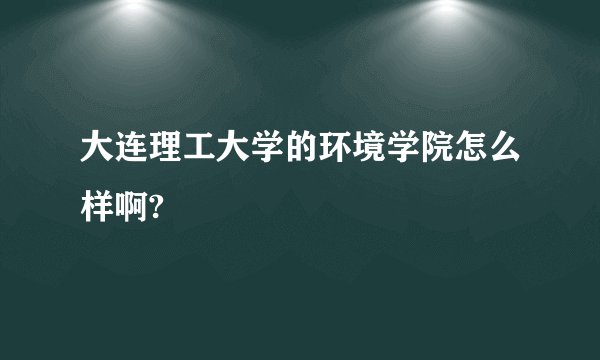 大连理工大学的环境学院怎么样啊?