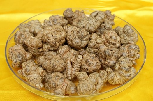 田七有什么作用