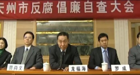 张丰毅演的罗市长是什么电视剧?