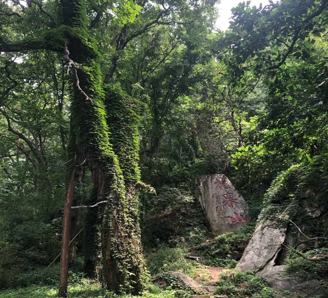 求江苏旅游景点排名前十，哪些比较值得去？