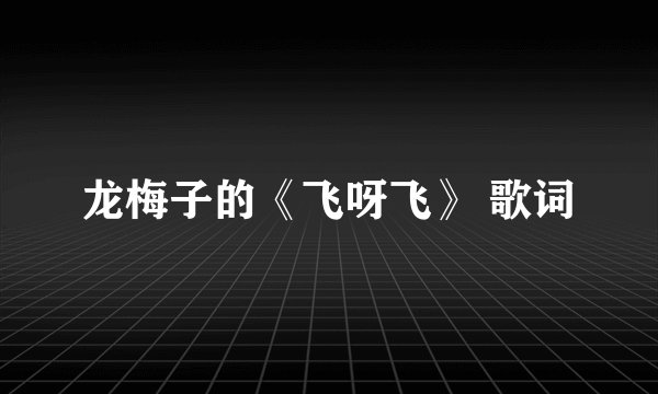 龙梅子的《飞呀飞》 歌词