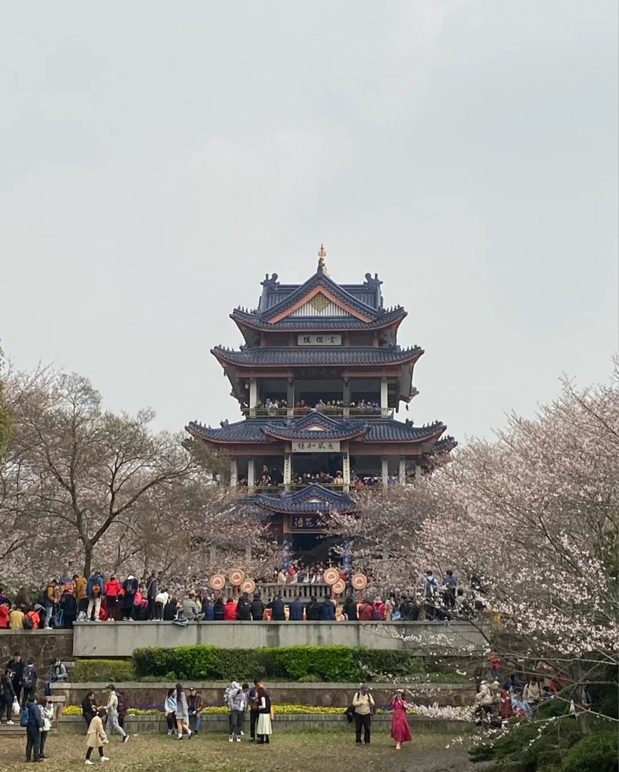 求江苏旅游景点排名前十，哪些比较值得去？