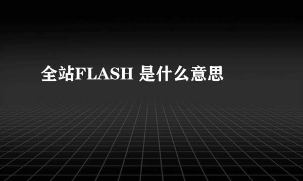 全站FLASH 是什么意思