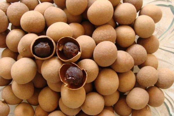 桂圆吃多了好不好?