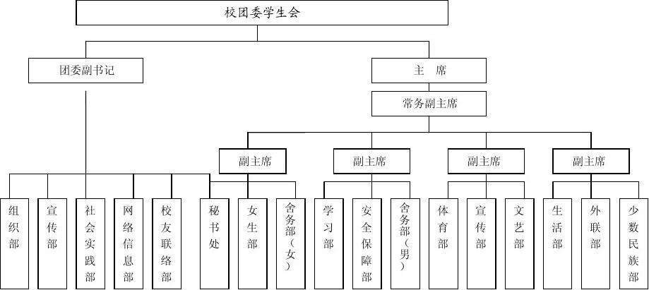 在大学里，学生会可以举办什么特色活动。