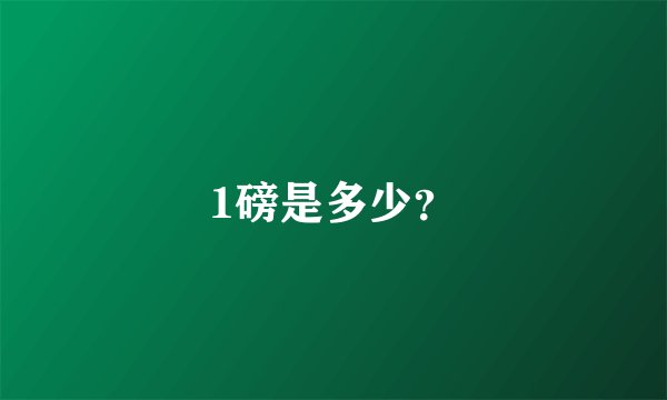 1磅是多少？