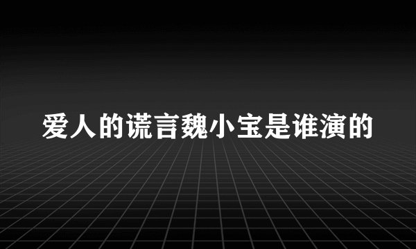 爱人的谎言魏小宝是谁演的