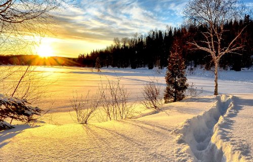 冬季安全教育内容是什么？