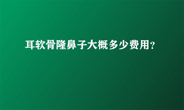 耳软骨隆鼻子大概多少费用？