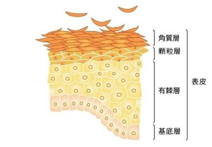电波拉皮有没有副作用?