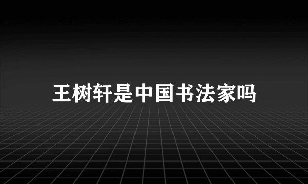 王树轩是中国书法家吗