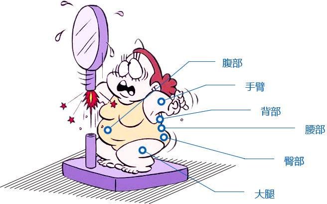 做吸脂瘦身大概多少钱