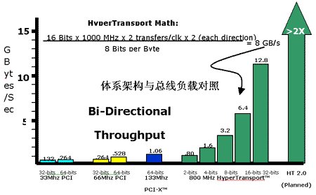 bbw是什么意思？