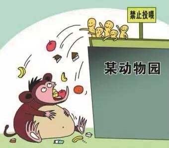 北京野生动物园一女游客疑将口罩喂给动物?发生了什么?