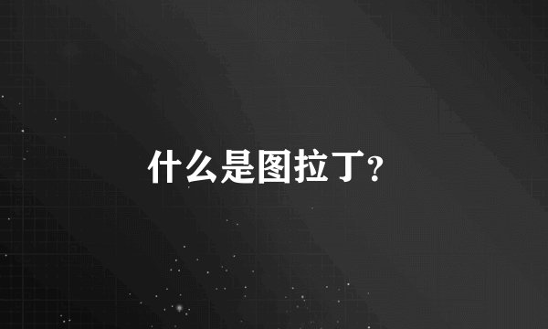 什么是图拉丁?