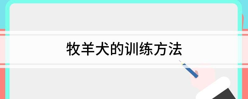 牧羊犬的训练方法