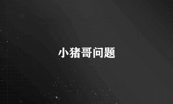 小猪哥问题
