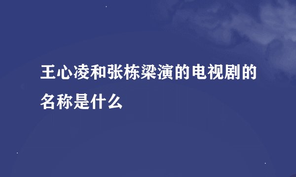 王心凌和张栋梁演的电视剧的名称是什么