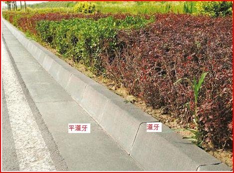 什么是有道牙的路面 什么是边沟式雨水口？