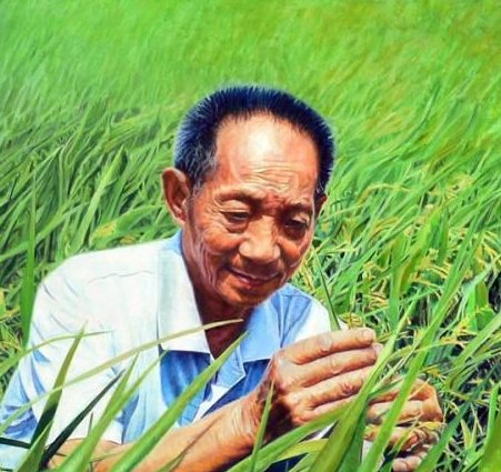 袁隆平究竟是江西人还是湖南人啊