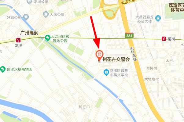 2020芳村花鸟市场搬到哪里了？