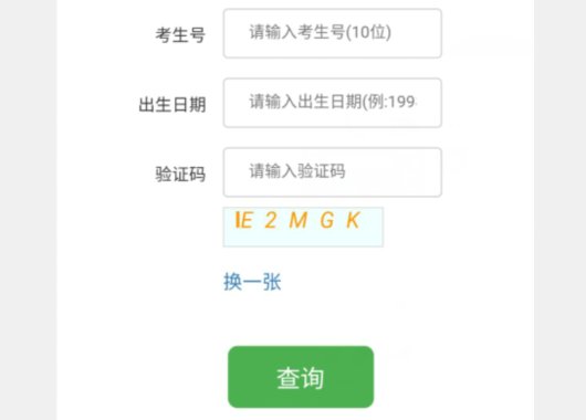 高考成绩怎么查?