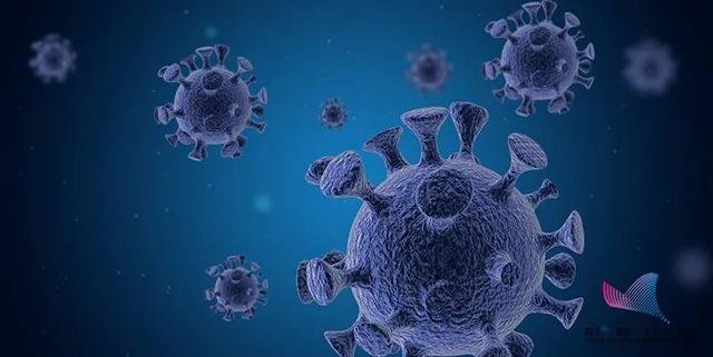 广东首现新冠病毒尼日利亚突变株，这种突变的新病毒最大特征是什么？