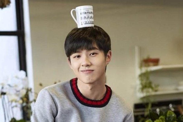 刘昊然晒乐高，为何能引起网友的广泛关注？