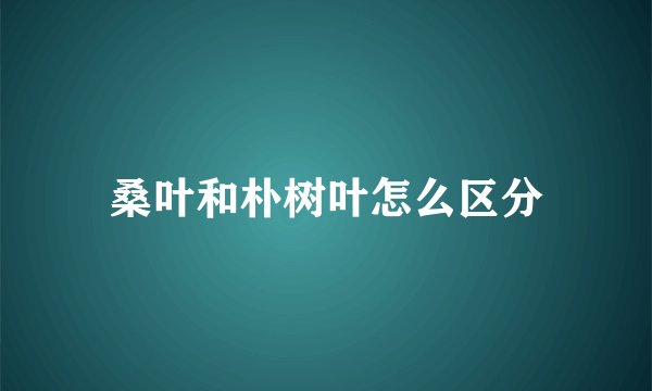 桑叶和朴树叶怎么区分